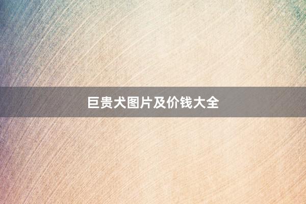 巨贵犬图片及价钱大全