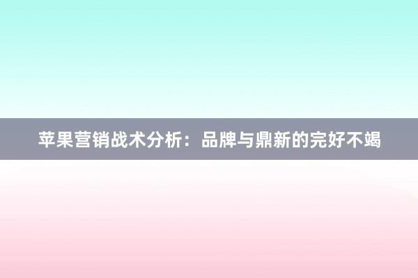 苹果营销战术分析：品牌与鼎新的完好不竭