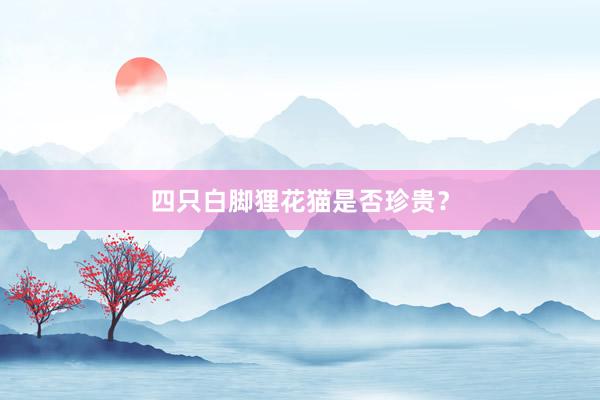 四只白脚狸花猫是否珍贵？