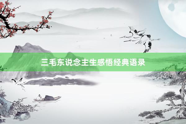 三毛东说念主生感悟经典语录
